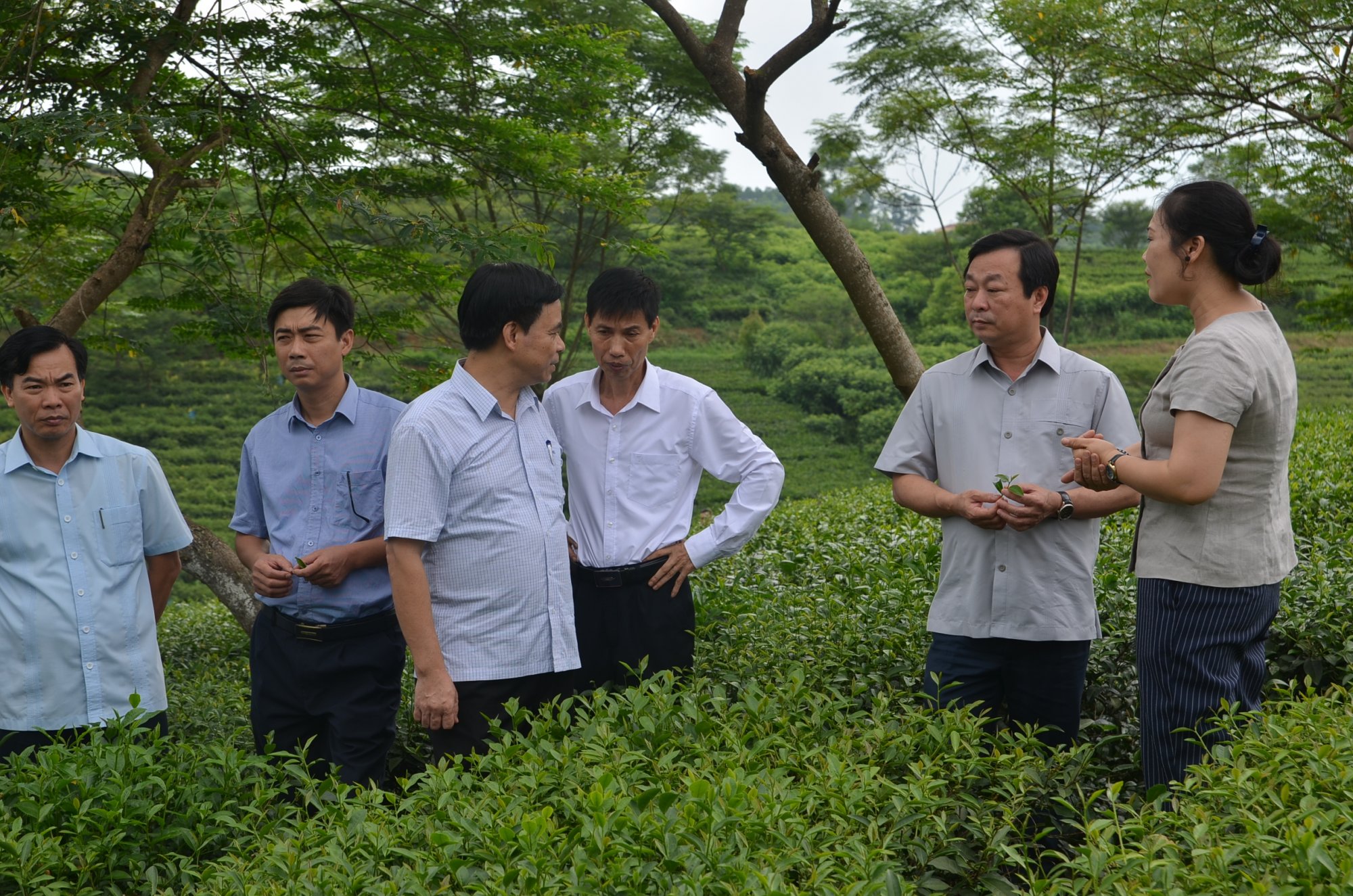 Đồng chí Bùi Văn Quang, Phó Bí thư tỉnh ủy, Chủ tịch UBND tỉnh Phú Thọ làm việc với Viện