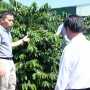 Bộ trưởng Lê Minh Hoan thăm vườn khảo nghiệm giống mới của Viện KHKT NLN miền núi phía Bắc tại Công ty Cà phê Detech