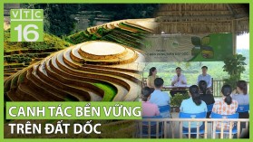 Giải pháp canh tác bền vững trên đất dốc