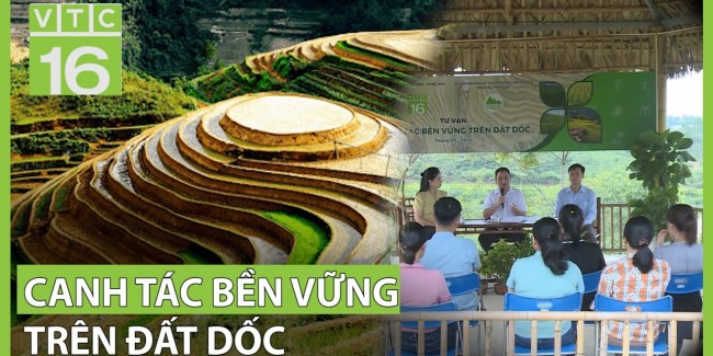 Giải pháp canh tác bền vững trên đất dốc