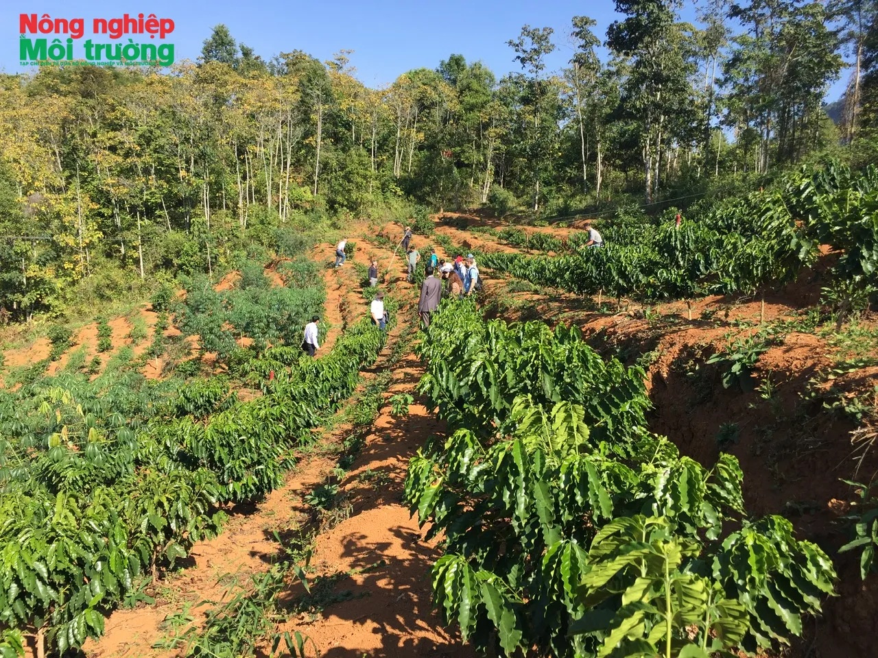 20 năm bền bỉ với núi đồi – Kiến tạo nền nông nghiệp sinh thái miền núi phía Bắc 20 năm bền bỉ với núi đồi – Kiến tạo nền nông nghiệp sinh thái miền núi phía Bắc